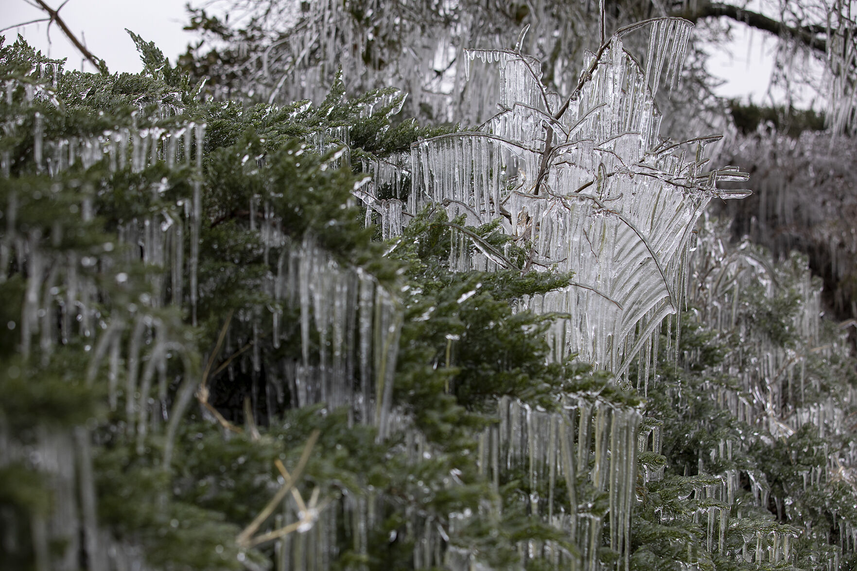 Winter weather